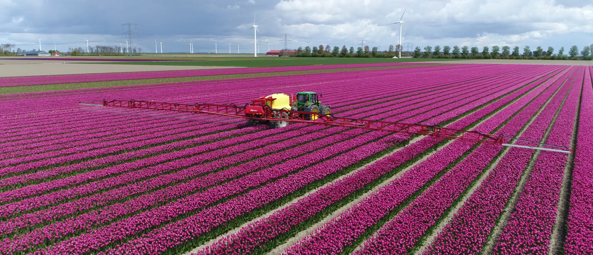 Field show. Сельское хозяйство Германии. Purple tractor.